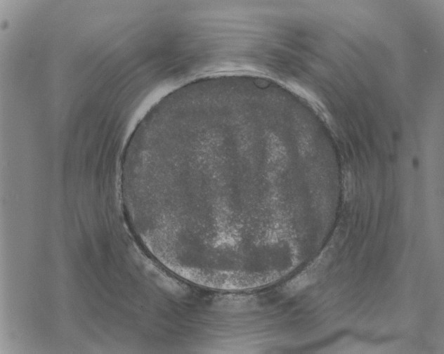 X0000072511374200608041455