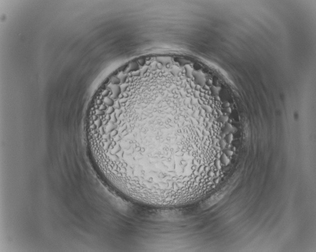 X0000072511375200608041455