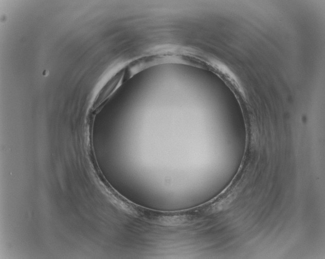 X0000072511376200608041455