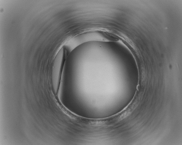 X0000072511377200608041455