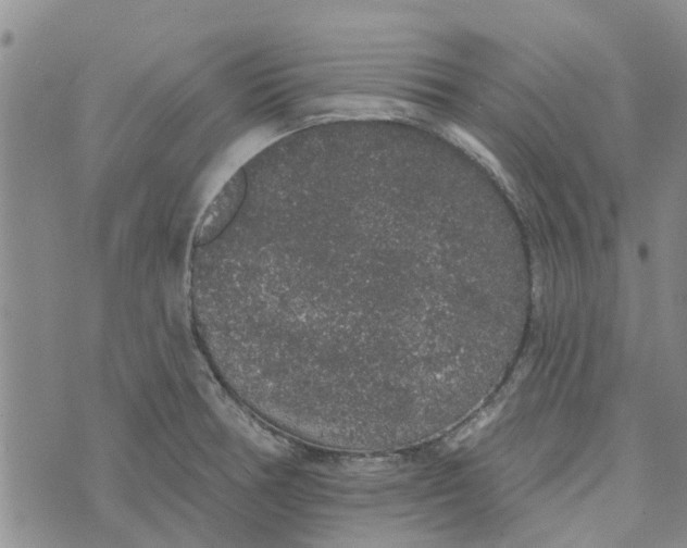 X0000072511378200608041455