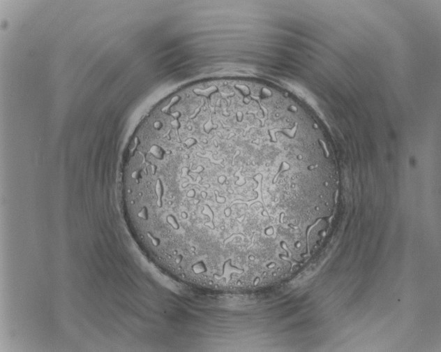 X0000072511379200608041455