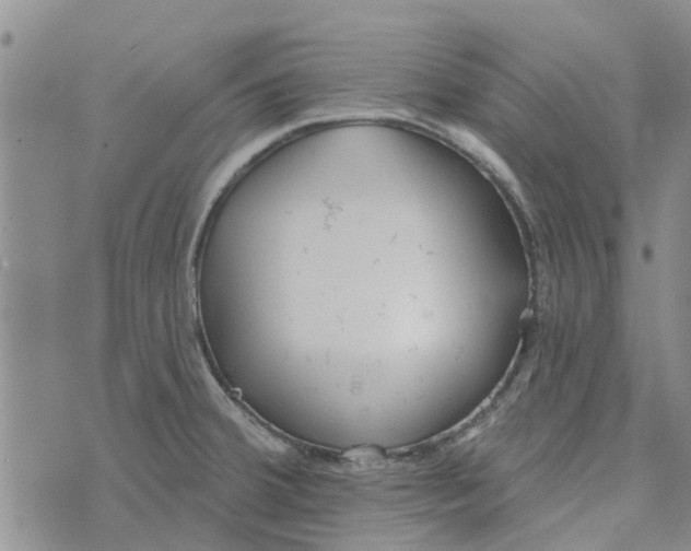 X0000072511380200608041455