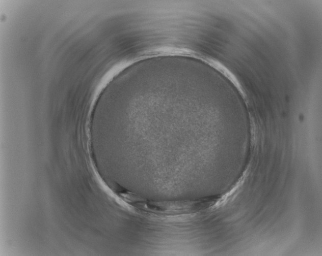 X0000072511381200608041455