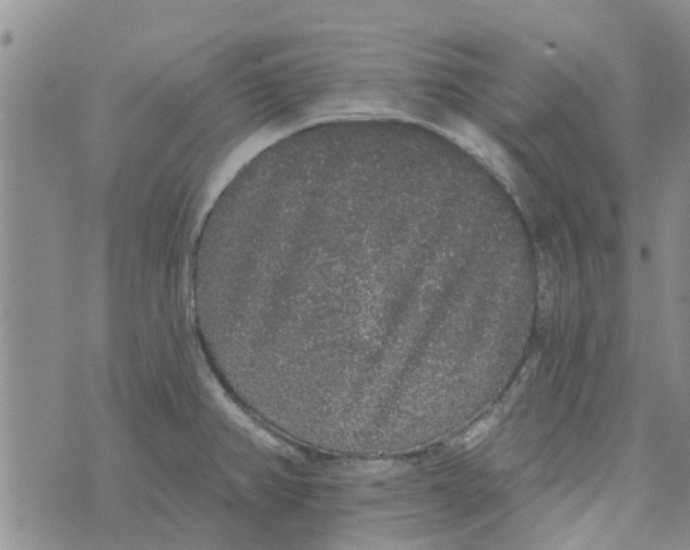 X0000072511382200608041455