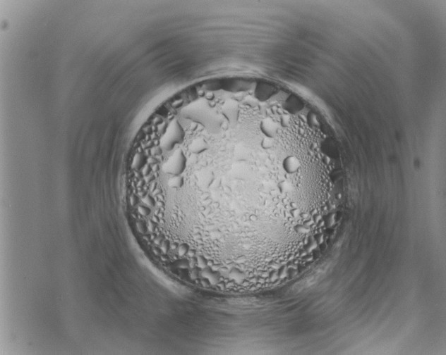 X0000072511383200608041455