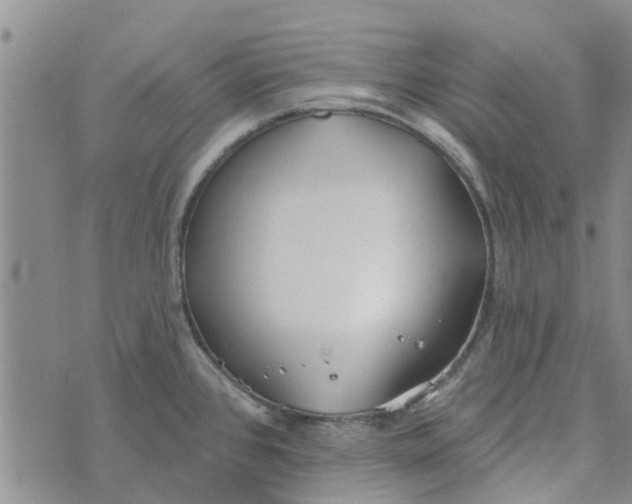 X0000072511384200608041455