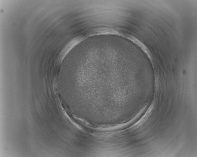 X0000072511385200608041455