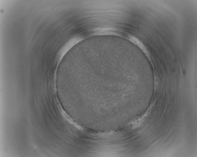 X0000072511386200608041455