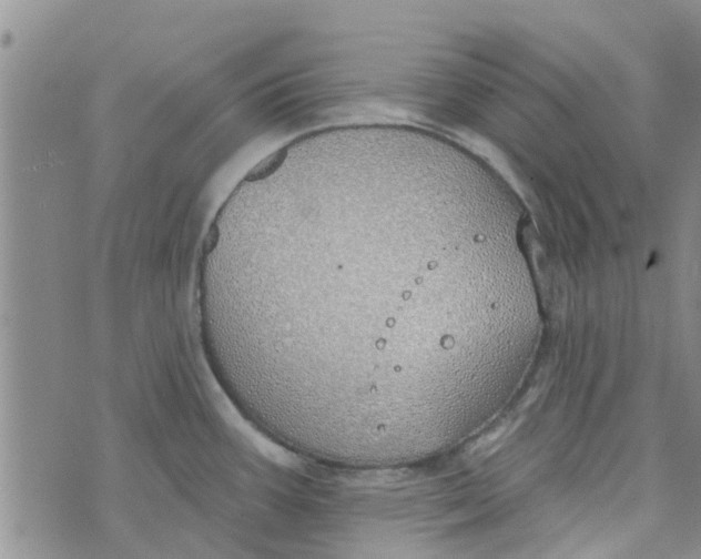 X0000072511387200608041455