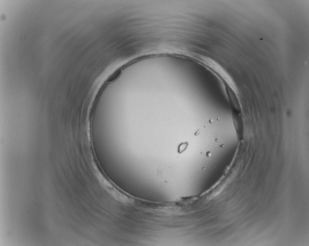 X0000072511388200608041455