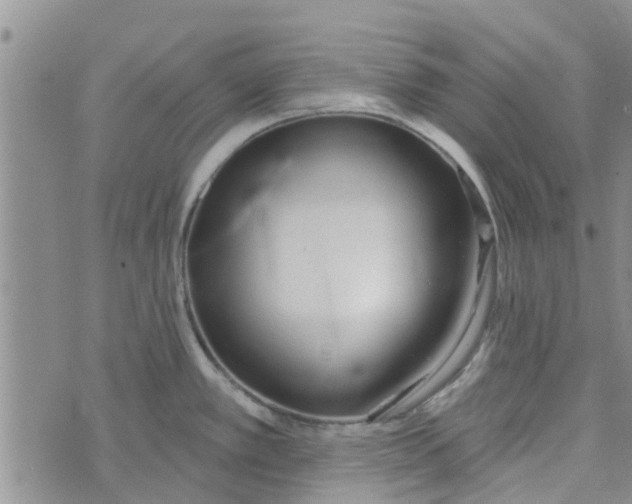 X0000072511389200608041455