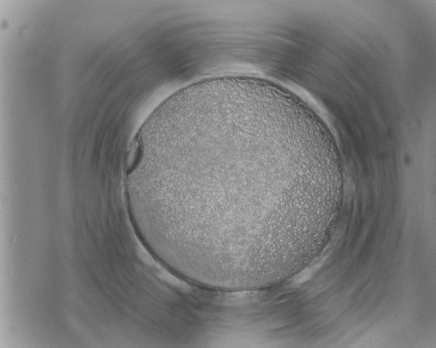 X0000072511390200608041455