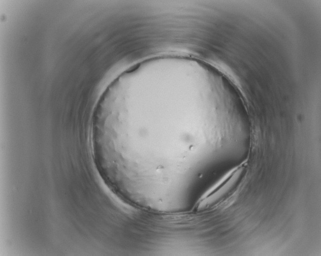 X0000072511391200608041455