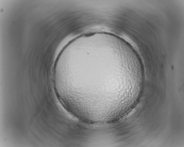 X0000072511392200608041455