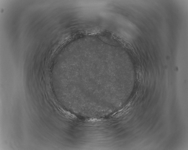 X0000072511393200608041454