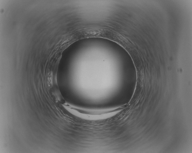 X0000072511394200608041454