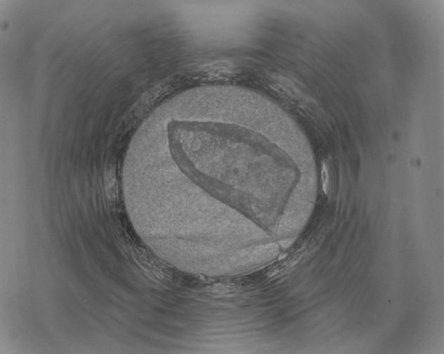 X0000072511395200608041454