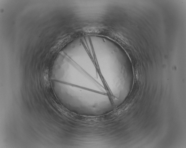 X0000072511396200608041454