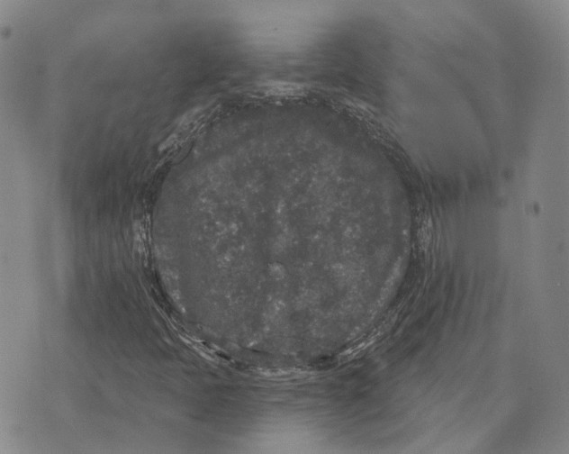 X0000072511397200608041454