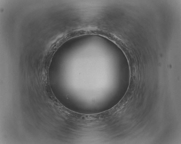 X0000072511398200608041454