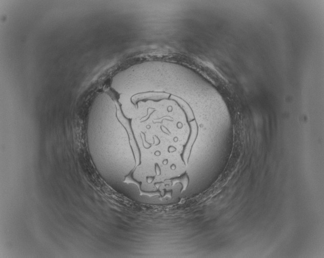 X0000072511399200608041454