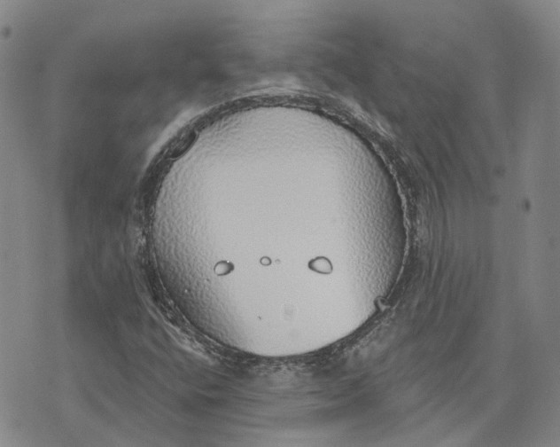 X0000072511400200608041455