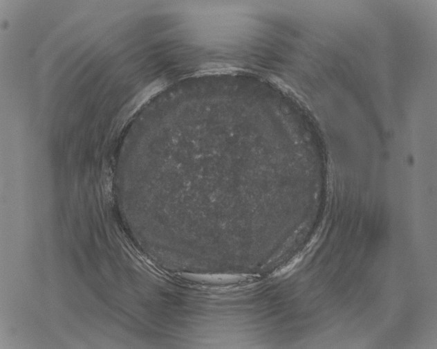 X0000072511401200608041455