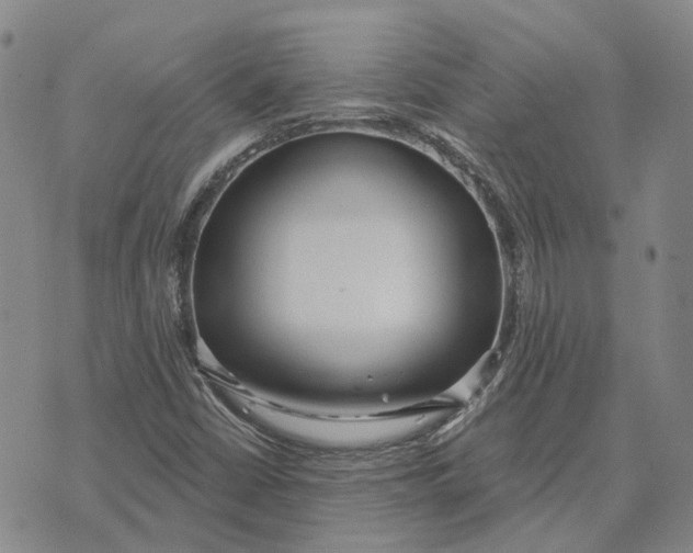 X0000072511402200608041455