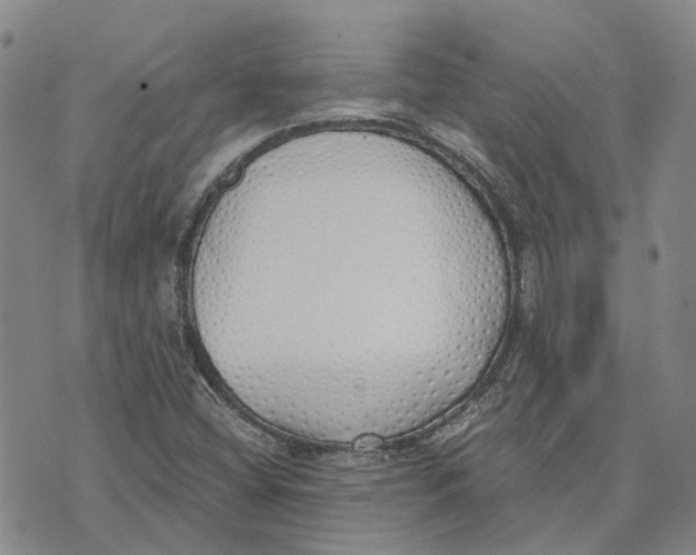 X0000072511404200608041455