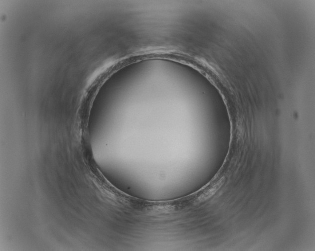 X0000072511406200608041455