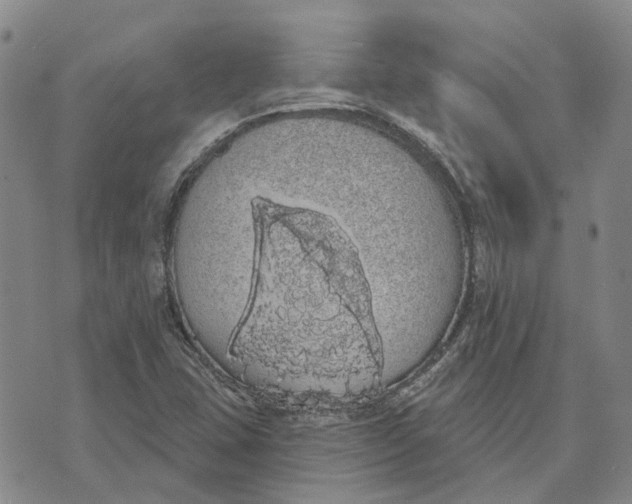 X0000072511407200608041455