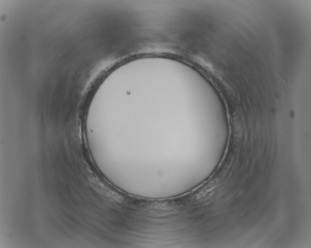 X0000072511408200608041455