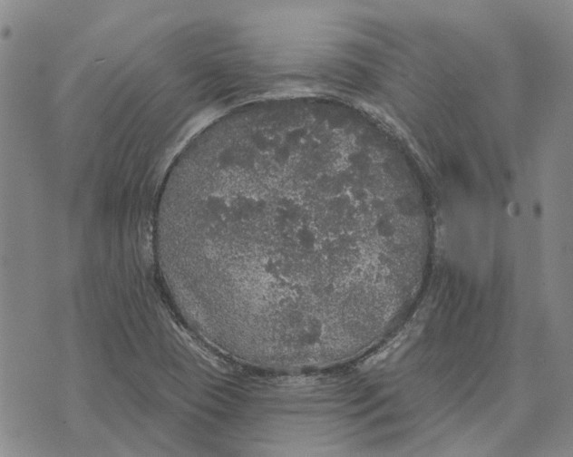 X0000072511409200608041455