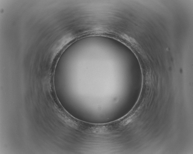 X0000072511410200608041455