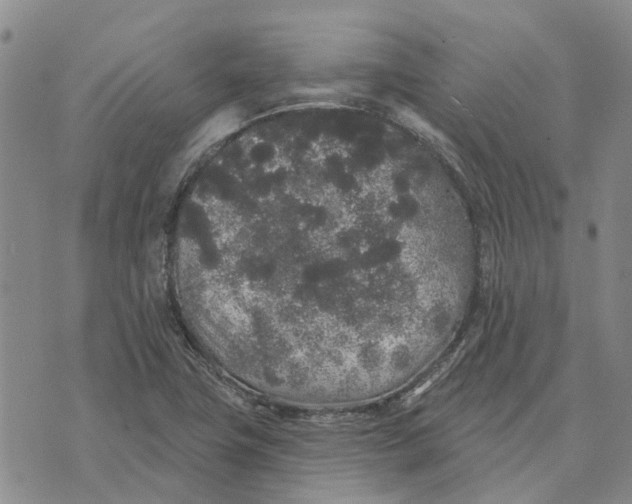 X0000072511411200608041455