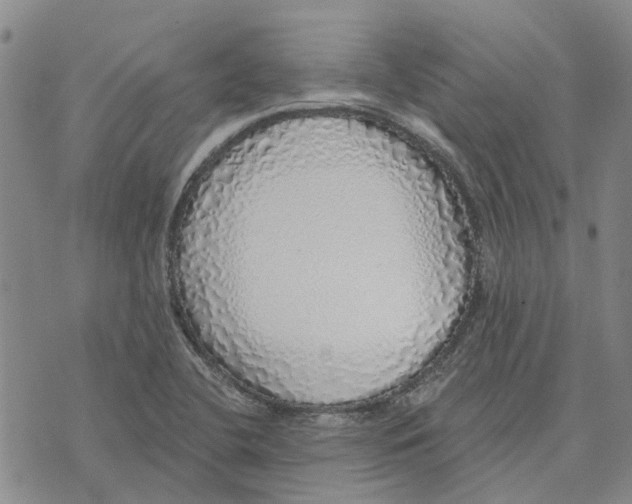 X0000072511412200608041455