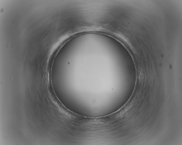 X0000072511414200608041455