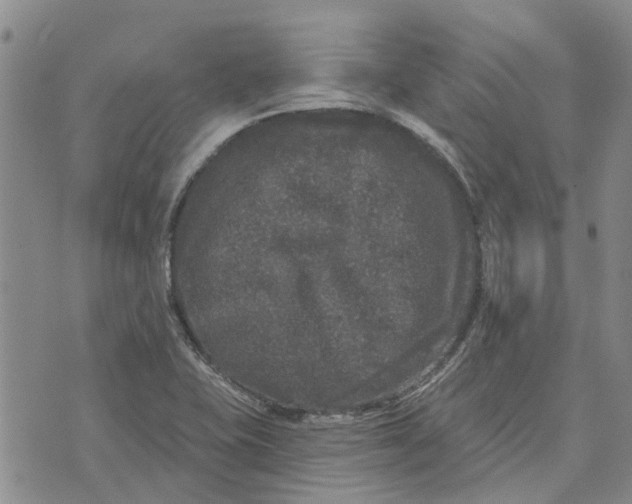 X0000072511415200608041455