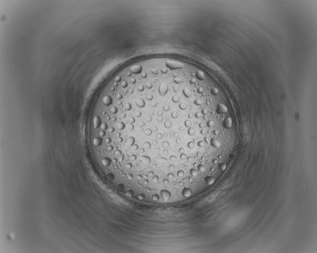 X0000072511416200608041455