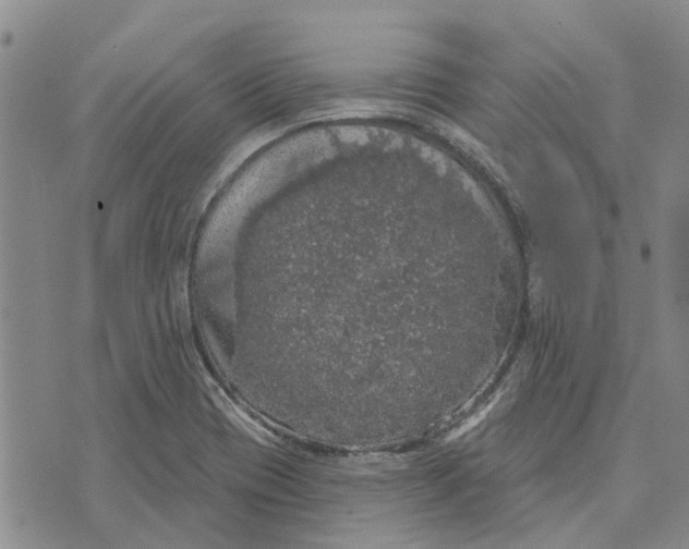 X0000072511417200608041455