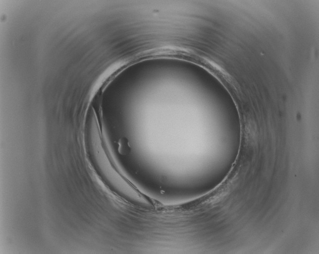 X0000072511418200608041455