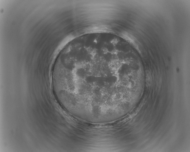 X0000072511419200608041455