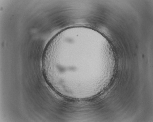 X0000072511420200608041455