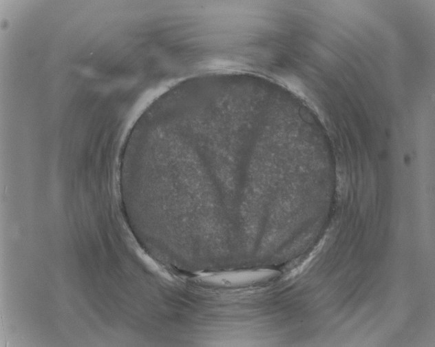 X0000072511421200608041455