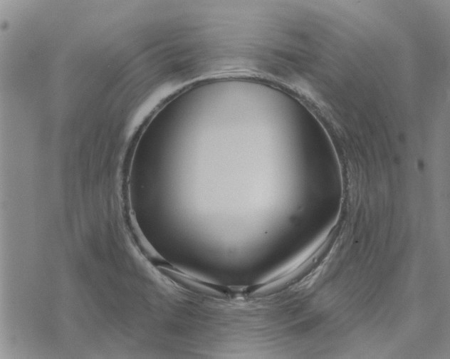 X0000072511422200608041455