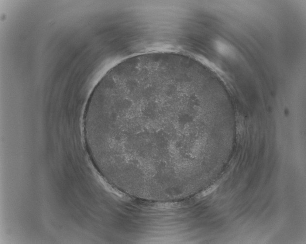 X0000072511423200608041455