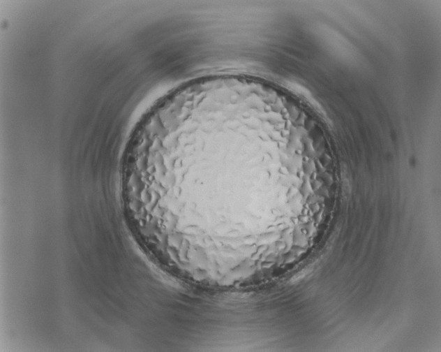 X0000072511424200608041455