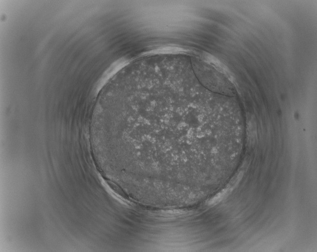 X0000072511425200608041455