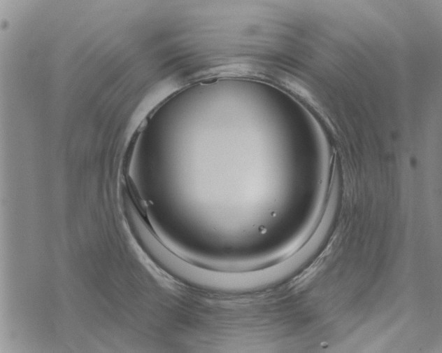 X0000072511426200608041455